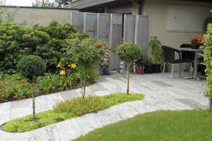 Image Caption