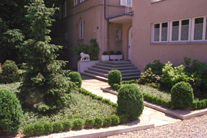 Image Caption